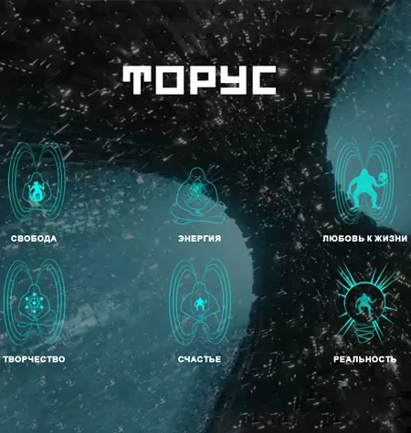 Курс «Торус»