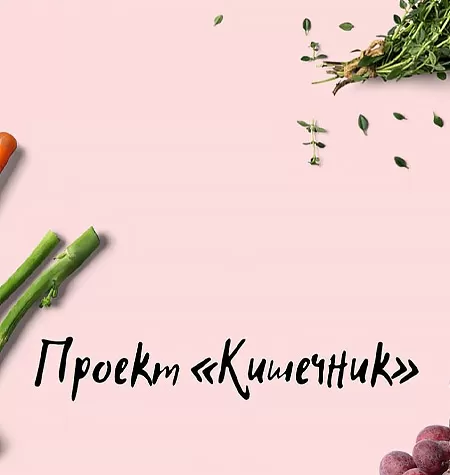 Проект «Кишечник»