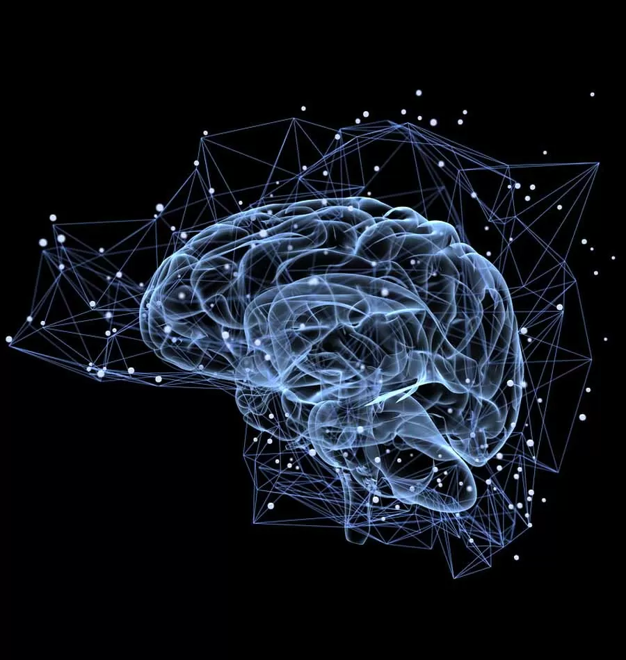 Тренинг «NeuroHacking. Активация Связей»