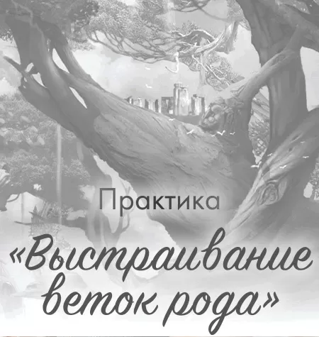Практика «Выстраивание веток рода»