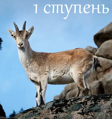 Курс «Практика и жизнь. 1 ступень: "Как начать практику"»