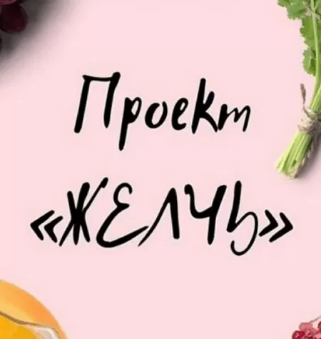 Проект «Желчь»